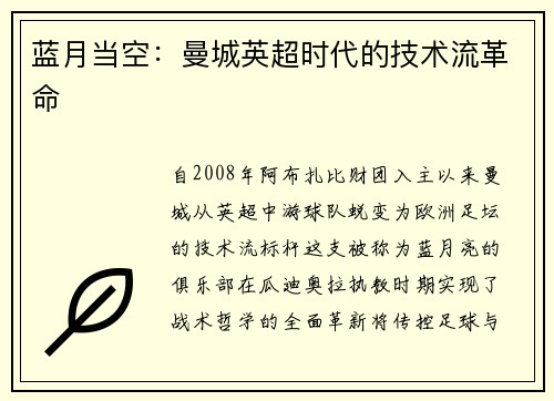 蓝月当空：曼城英超时代的技术流革命
