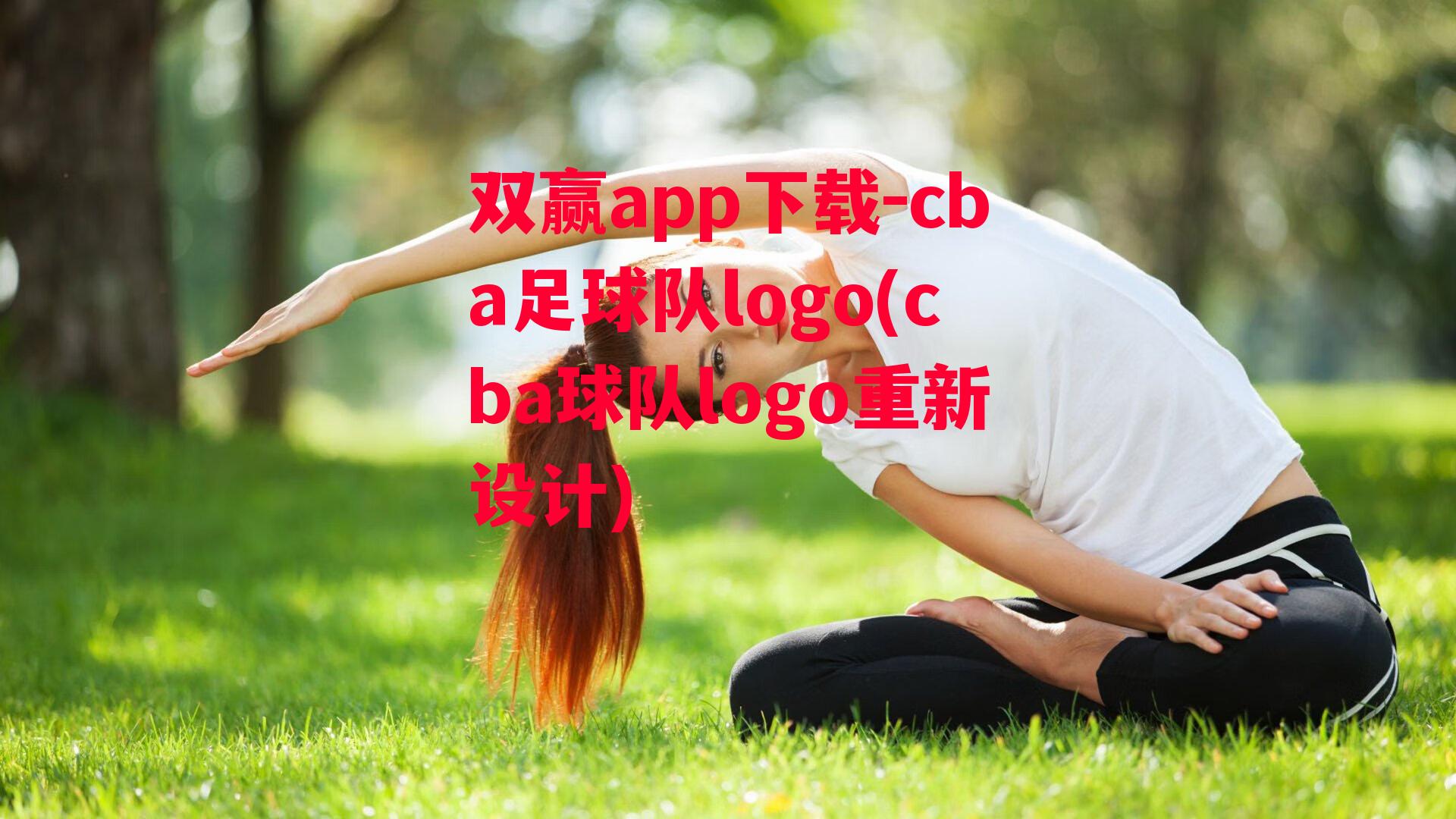 cba足球队logo(cba球队logo重新设计)